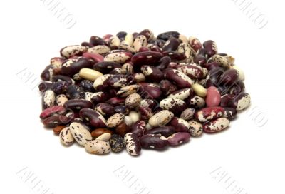 French bean French bean
