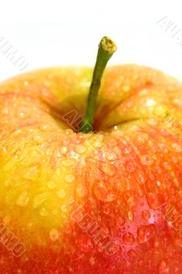 apple