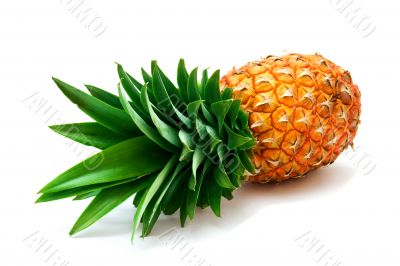 pineapple