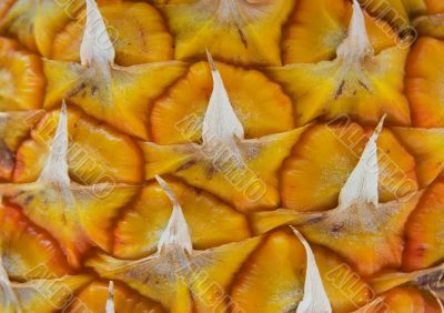 pineapple 4 pineapple 4