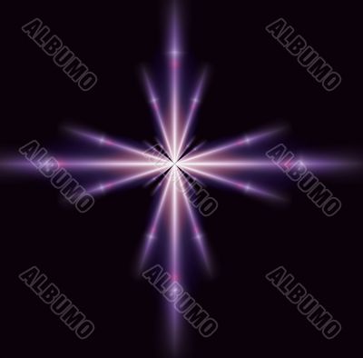Single Purple Star Single Purple Star