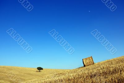 Plain of the Alentejo