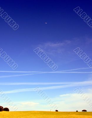 Plain of the Alentejo