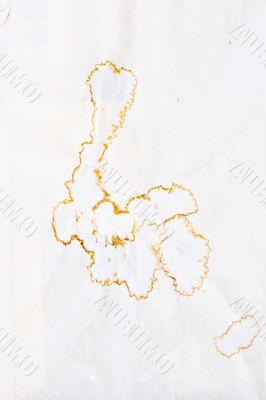 blot