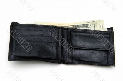 Wallet with money