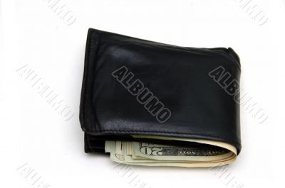 Wallet with money