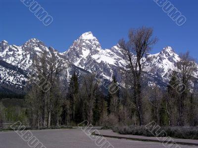 Grand Tetons