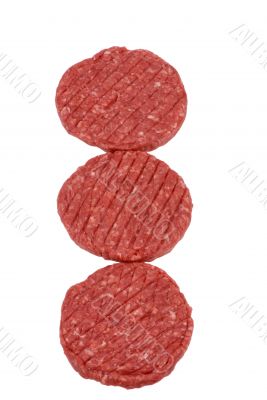 Hamburger Series (Raw Meat)