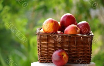 Small hamper of fruit