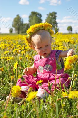 little girl on dandelion meadow