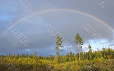 rainbow rainbow