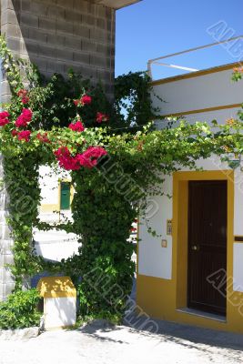 House in Malagueira Quarter