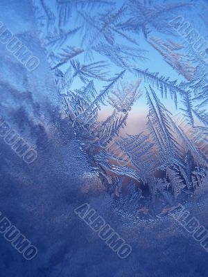 Frosty pattern at a window