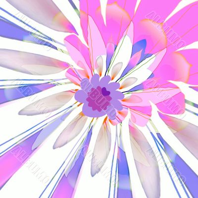 Lilac abstraction flower