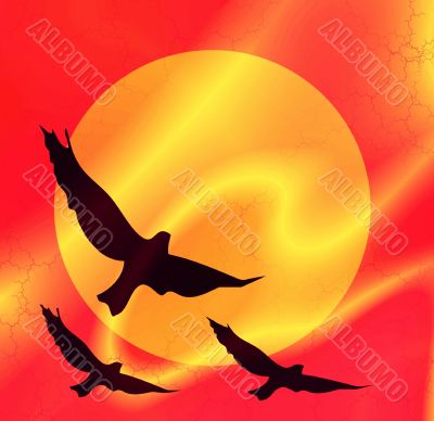 Sun and birds