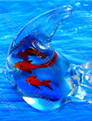 Aquatic life . Glass fish