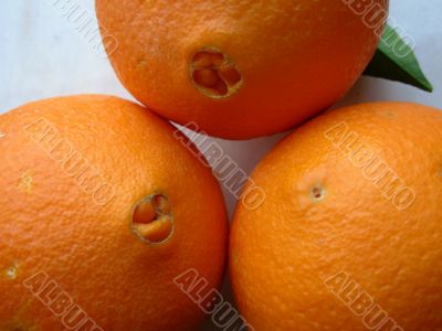 Oranges Oranges