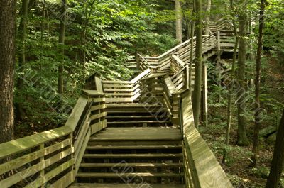 Woodland stairs