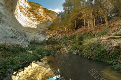 Trees at water