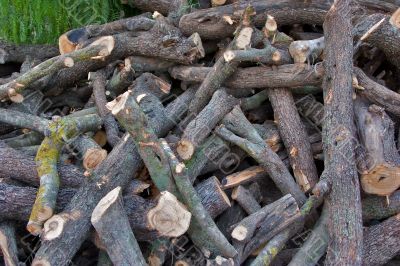 Wooden logs