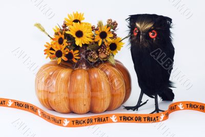 Pumpkin with Owl, Flowers, and Trick or Treat