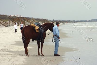 horse and rider at beach