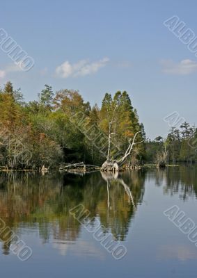 scenic lake reflections