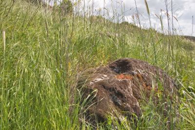 The big boulder in a grass.