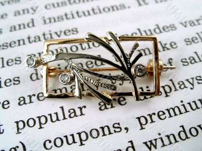 The open book and jewelry