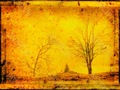 grunge frame with trees silhouettes