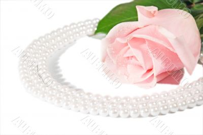 Rose and pearls.