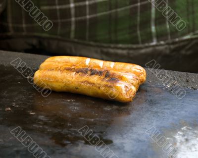 Hot Dogs