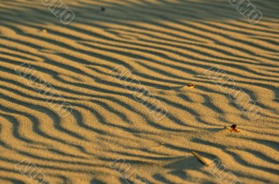 sand background