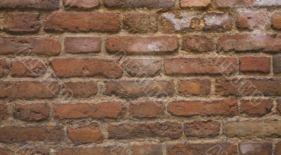 old bricks background