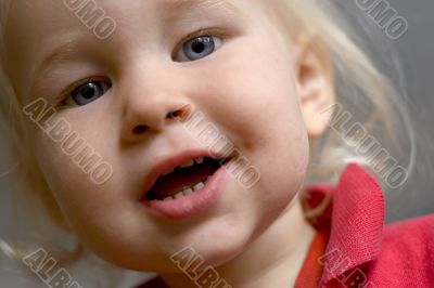 one year old one year old