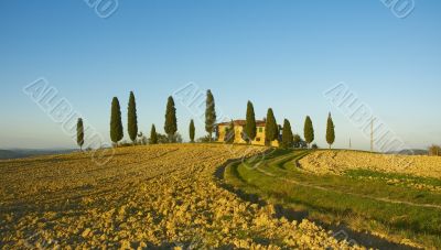 typical tuscan landscape