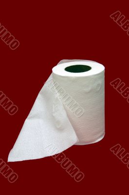 Toilet Tissue