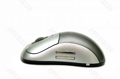 Wireless Mouse