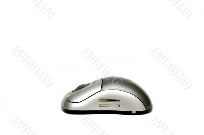Wireless Mouse Wireless Mouse