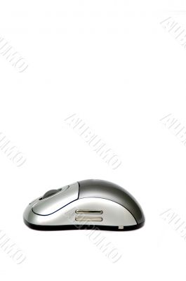 Wireless Mouse Wireless Mouse