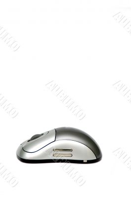 Wireless Mouse