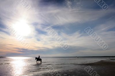 Horse and the sunset on the sea