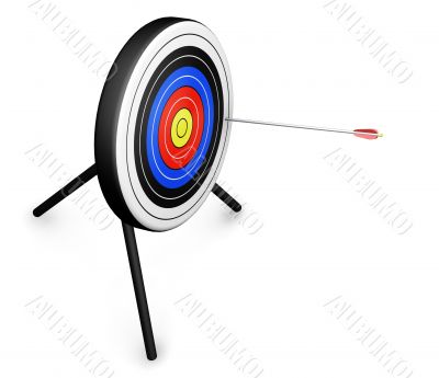 Arrow hitting target