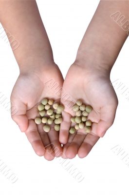 Holding Seeds