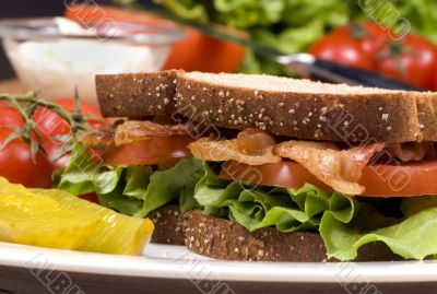 Bacon Lettuce and tomato sandwich 001
