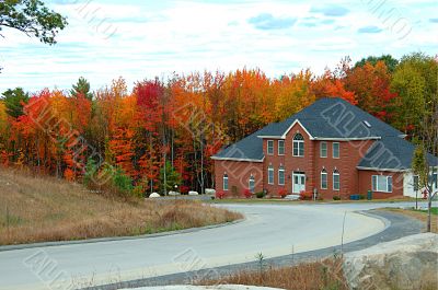 Dream House Dream House