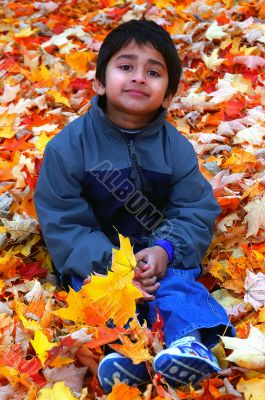 Fallen Leaves Fallen Leaves