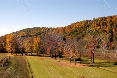 Fall Scenery Fall Scenery