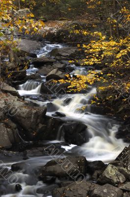 Fall Stream Fall Stream