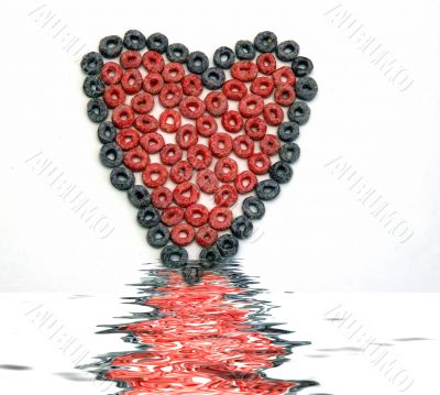 Fruit Loop Heart